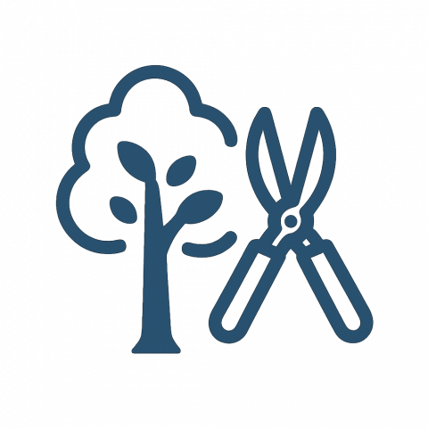 Image depicting the Service Tree Trimming and Pruning