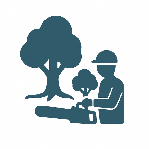 Image depicting the Service Lot Clearing